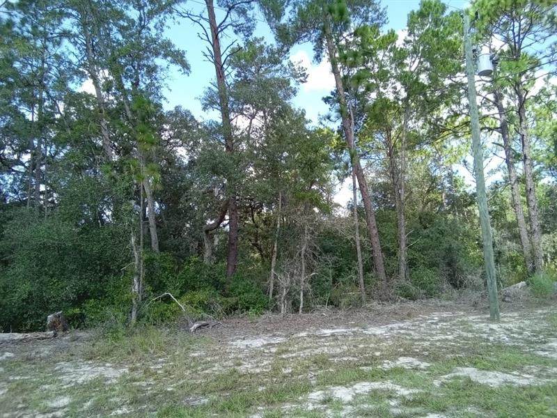 00 69TH COURT Road - Photo 1