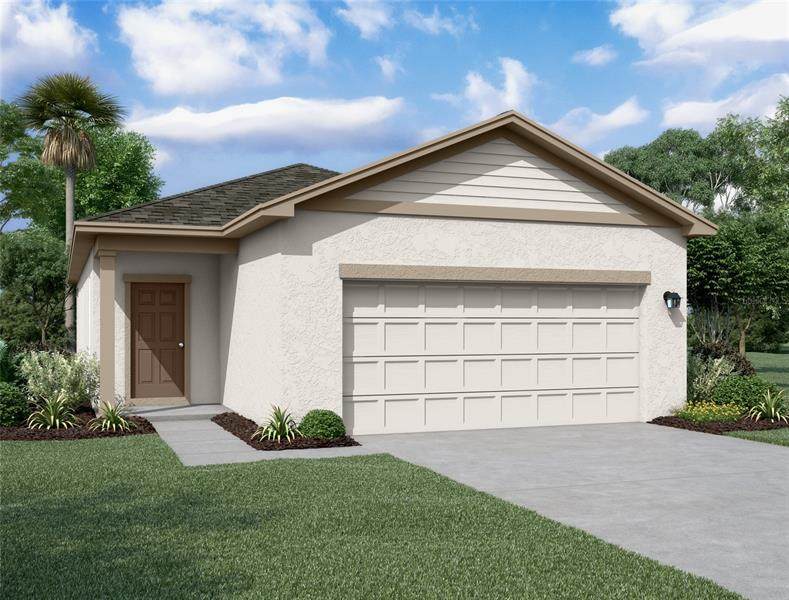 35606 Buttonweed - Photo 1