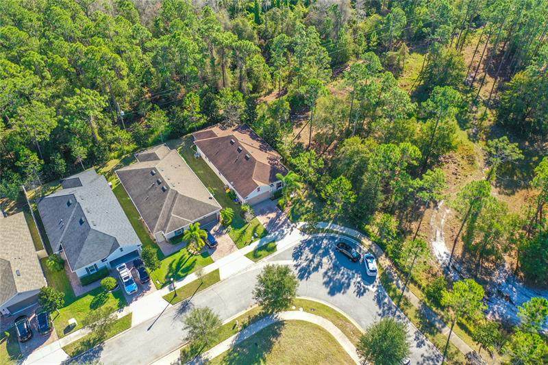 2301 Avellino Avenue - Photo 1