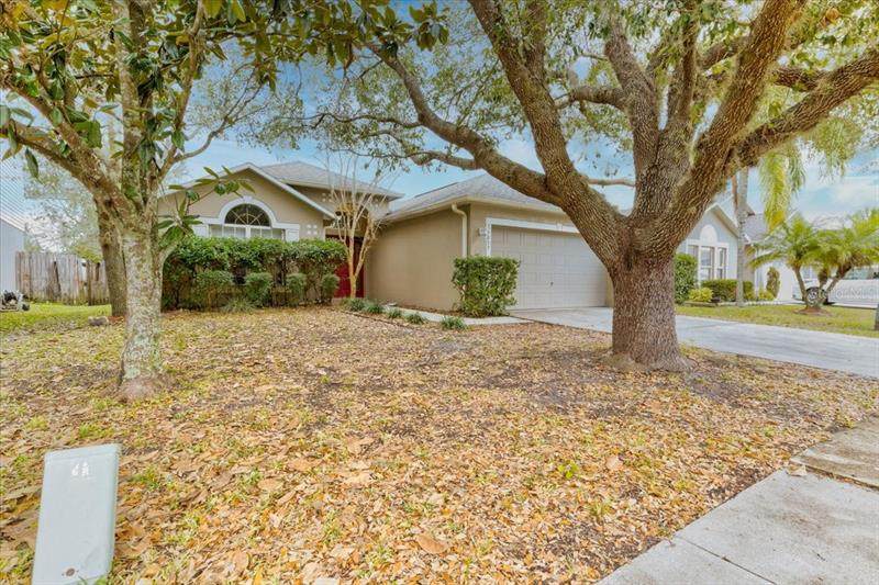 14037 Econ Woods Lane - Photo 1