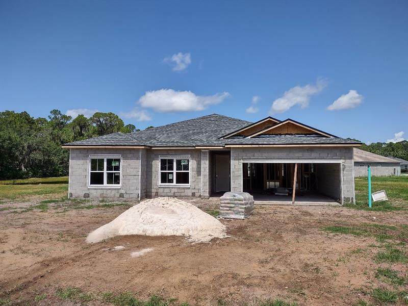 34907 Golden Tree Drive - Photo 1