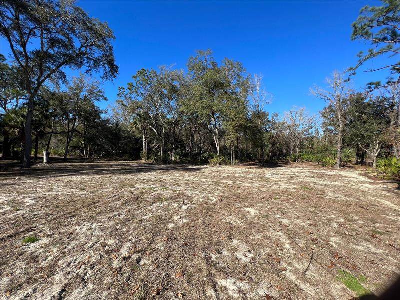 8224 Bamboo Terrace - Photo 1