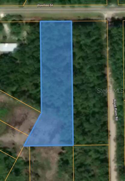 109 Pinellas Street - Photo 1