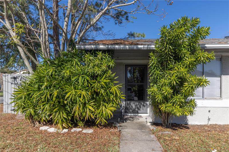 1010 Dolphin Drive - Photo 1