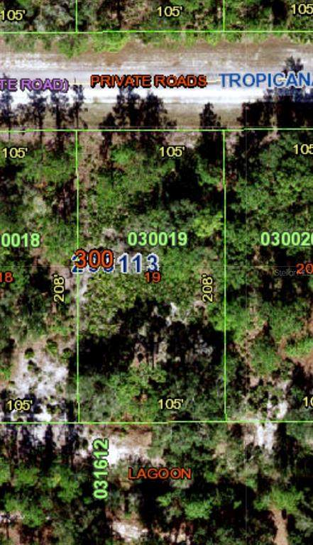 1011 Tropicana Drive - Photo 1