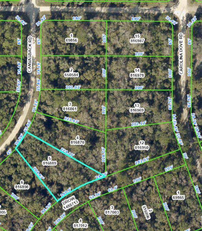 14476 Canvasback Road - Photo 1