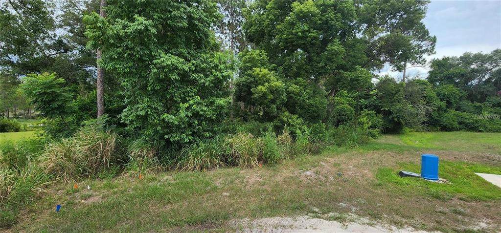 185 Oliver Court - Photo 1