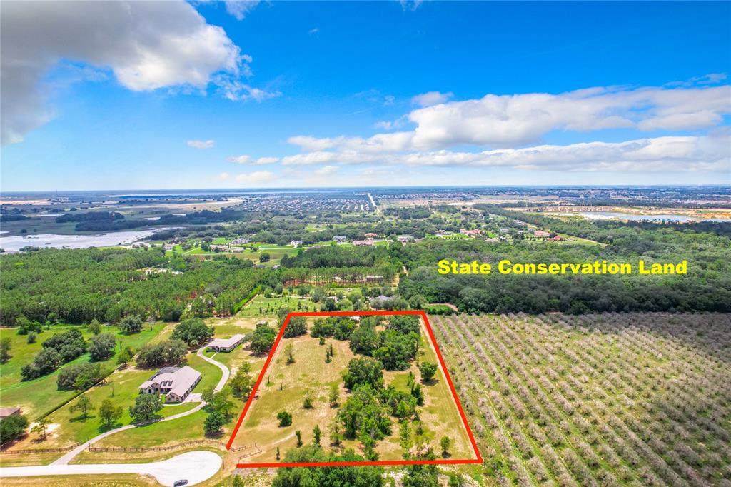 10133 Colt Lane - Photo 1