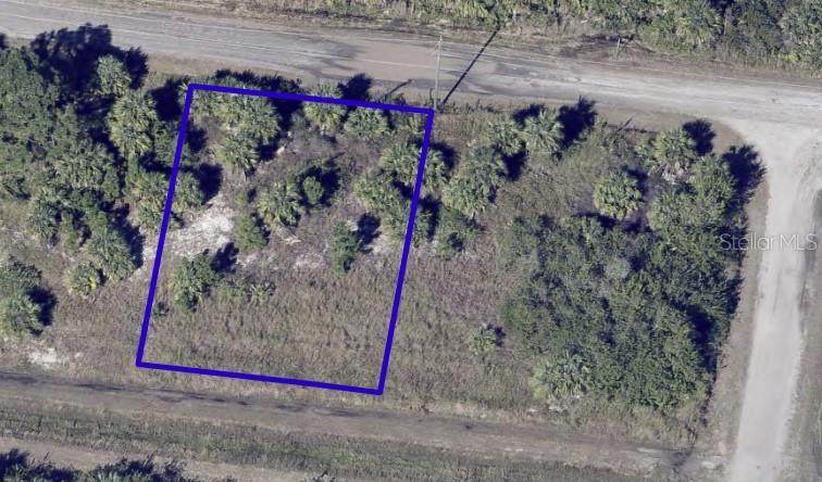 847 Laika Road - Photo 1