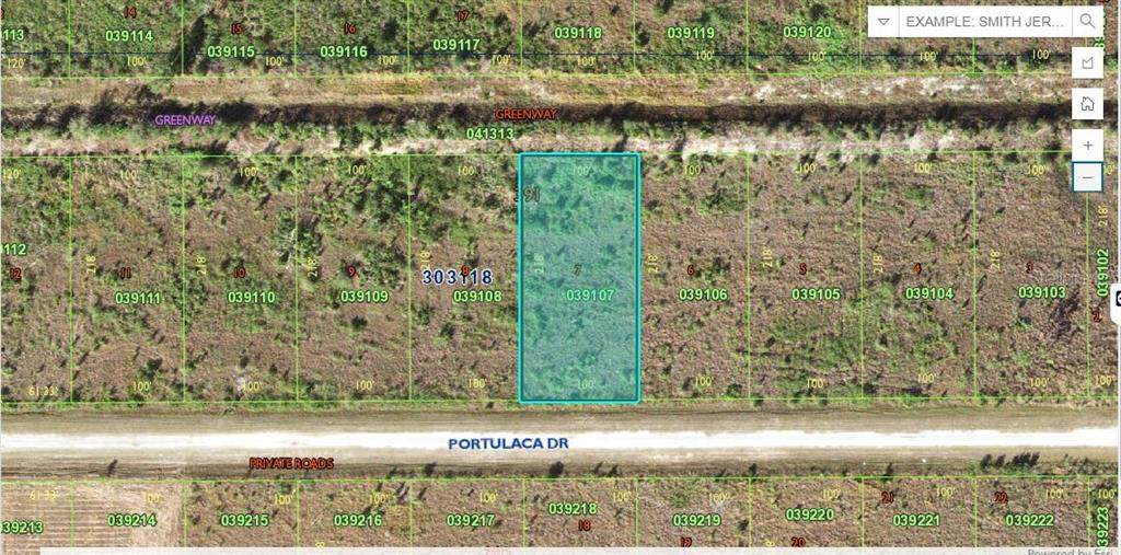 514 Portulaca Drive - Photo 1