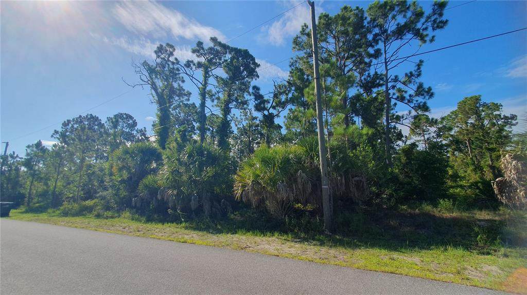 16245 Hillsborough Boulevard - Photo 1