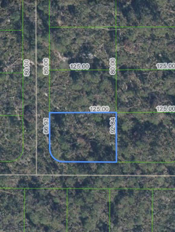 10662 Deep Hazard Drive - Photo 1