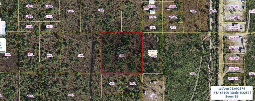 Holopaw Groves Road - Photo 1