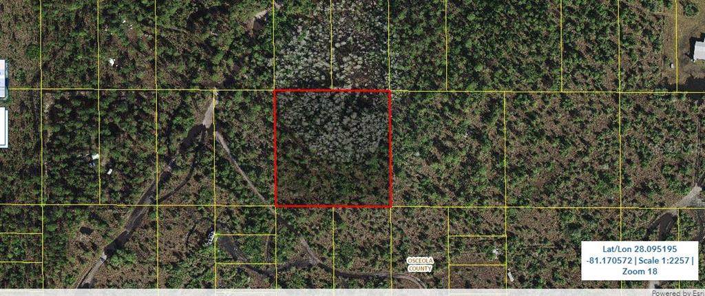Holopaw Groves Road - Photo 1