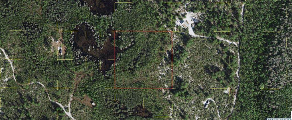  Holopaw Groves Road - Photo 1