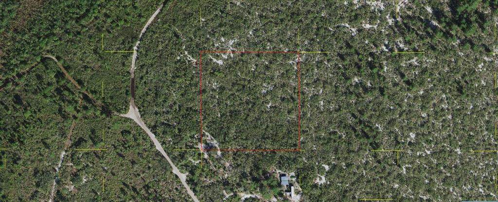  Holopaw Groves Road - Photo 1