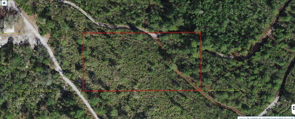 Holopaw Groves Road - Photo 1