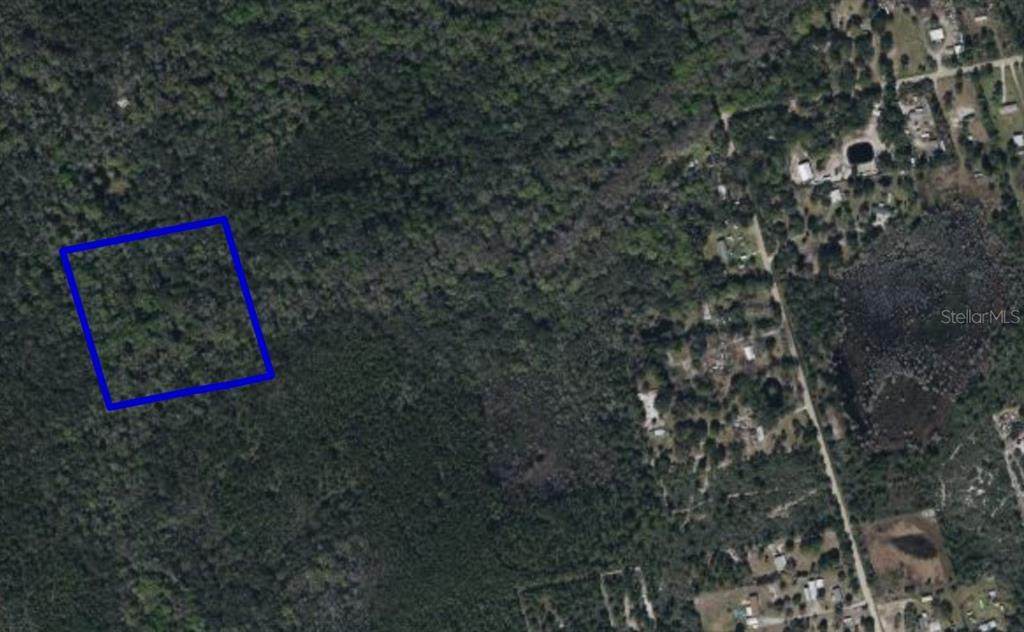 095 Pine Needle Road - Photo 1