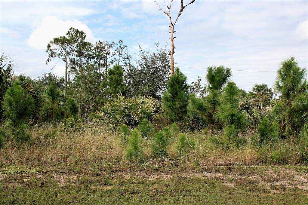 Lot 12 158 TH Court - Photo 1