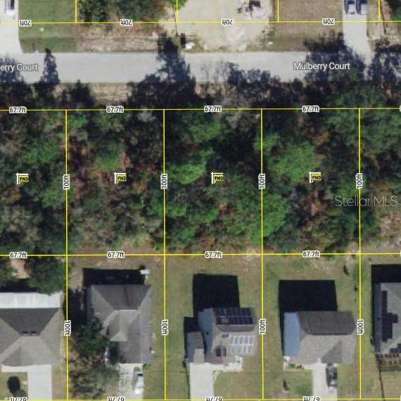 410 Mulberry Court - Photo 1