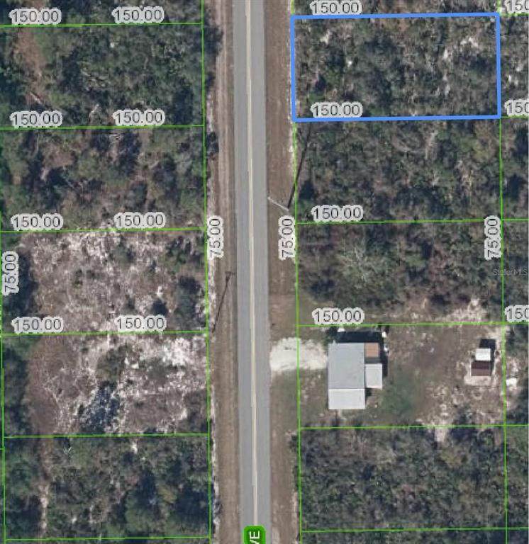 411 Hallmark Avenue - Photo 1