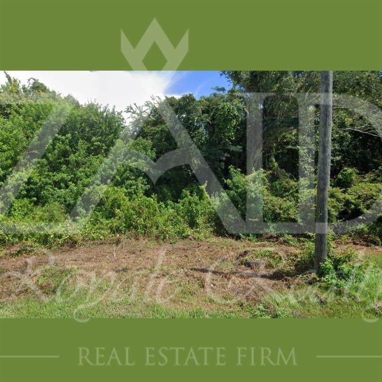 1424 Stetson Drive - Photo 1