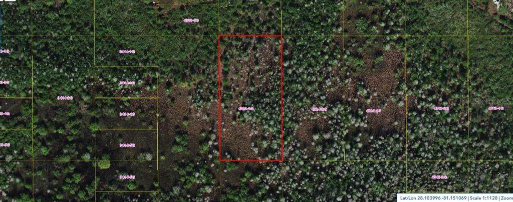 Holopaw Groves Road - Photo 1