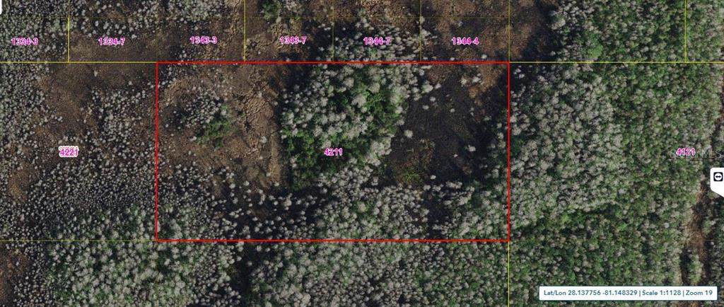 Holopaw Groves Road - Photo 1