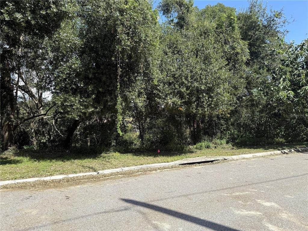 Minneola Avenue - Photo 1