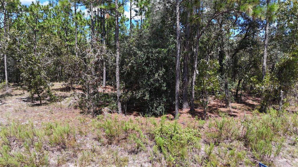 Lot 33 Neptune Boulevard - Photo 1