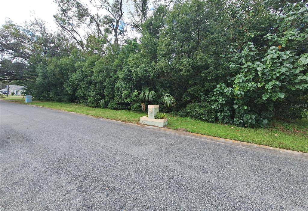  Lot 21 Hawkins Avenue - Photo 1