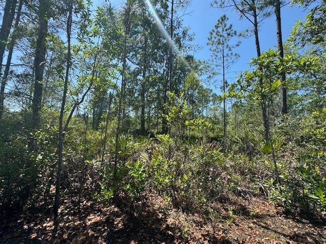 Ninemile Point Road - Photo 1
