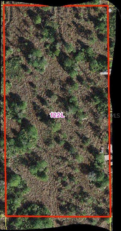 Holopaw Groves Road - Photo 1