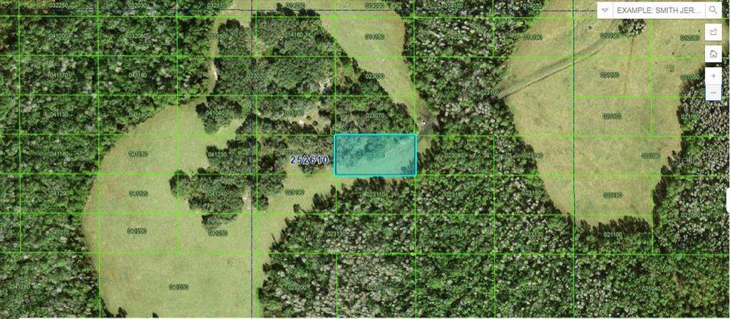 Tall Pine Road - Photo 1