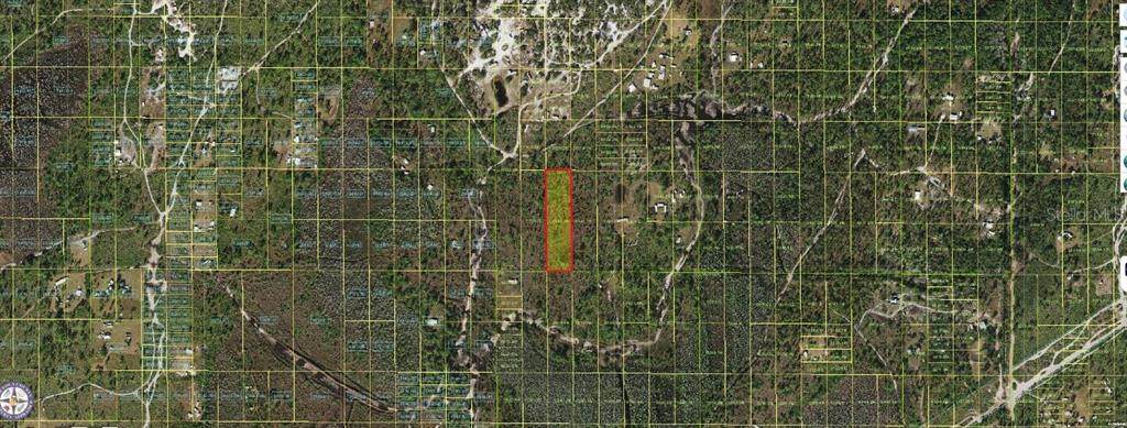 Holopaw Groves Road - Photo 1
