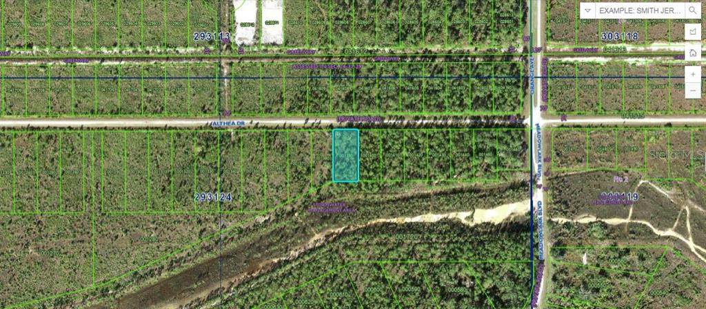 Althea Drive - Photo 1