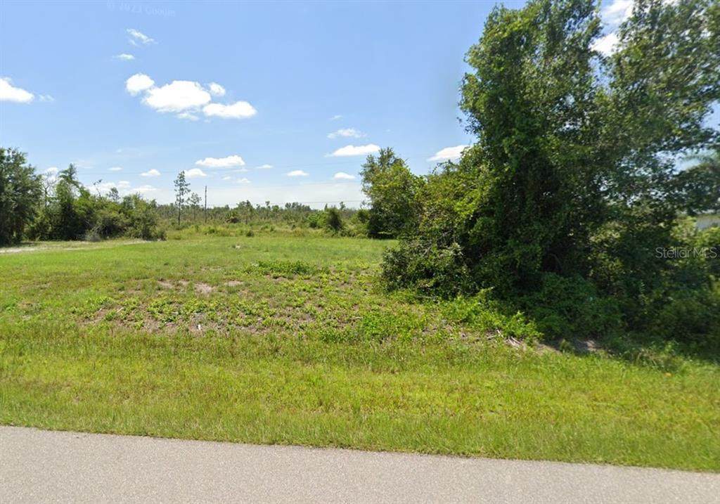 29485 Lillis Street - Photo 1