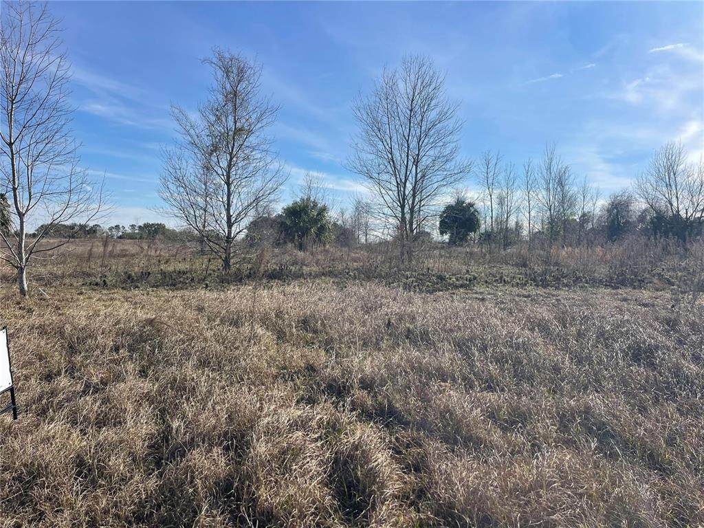 Lot 18 Hammock Grove Road - Photo 1