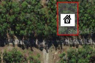 60 Falcon Street - Photo 1