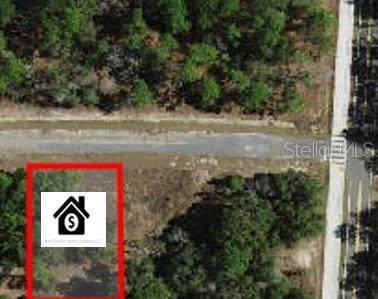 11328 Cathy Terrace - Photo 1