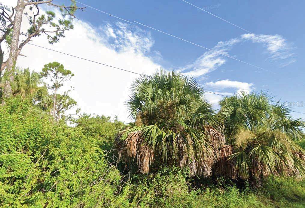 23 Bamboo Drive - Photo 1