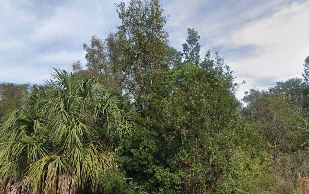 201 Yellowtail Lane - Photo 1