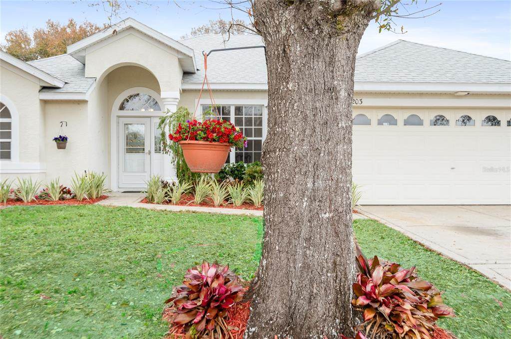 3203 Victoria Lane - Photo 1