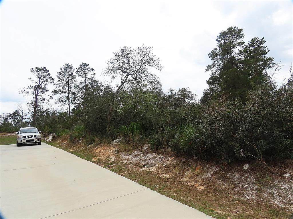 71 Orchid Court - Photo 1