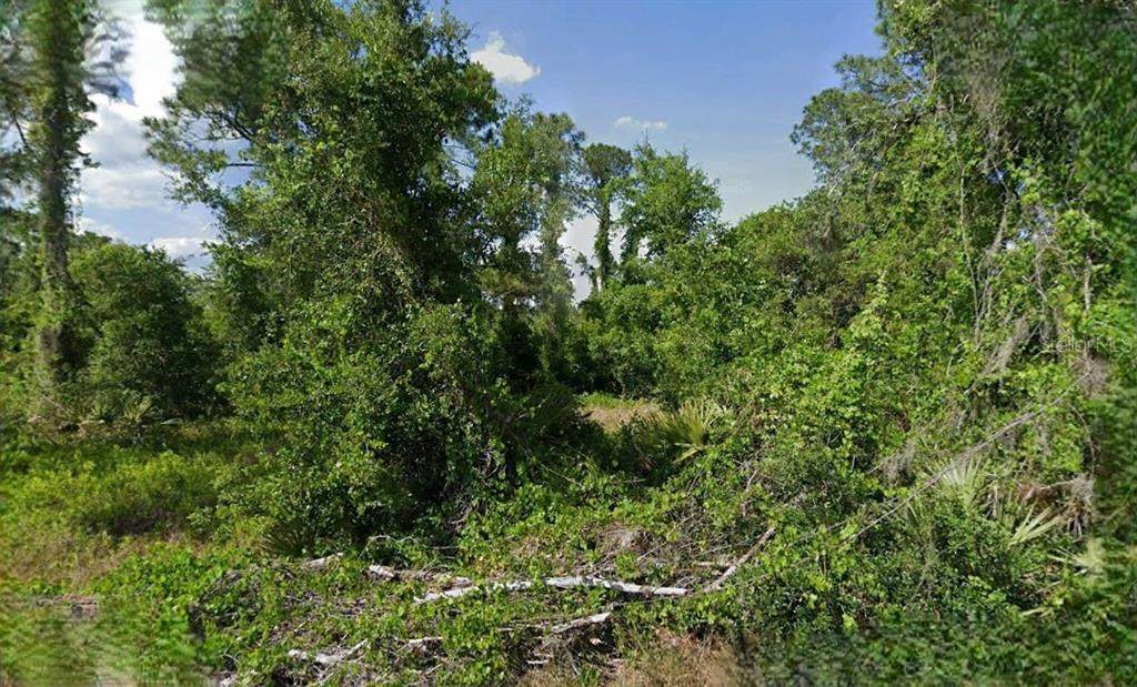 623 Cunningham Street - Photo 1