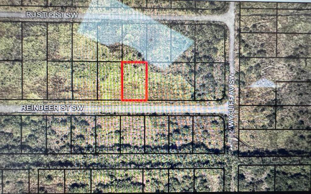 1325 Reindeer Street - Photo 1