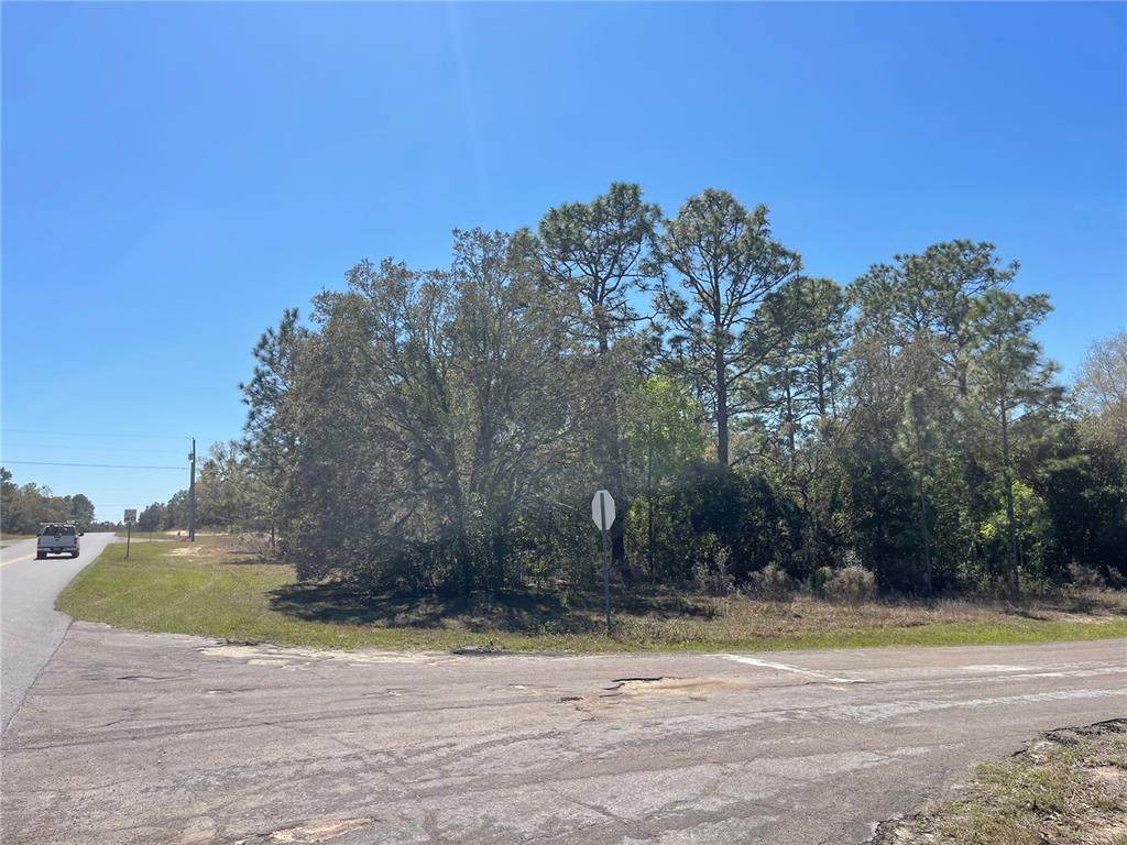 2766 Laredo Drive - Photo 1