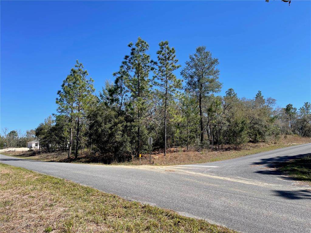 6715 Airmont Drive - Photo 1