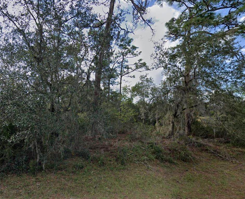 1335 St Augustine Court - Photo 1