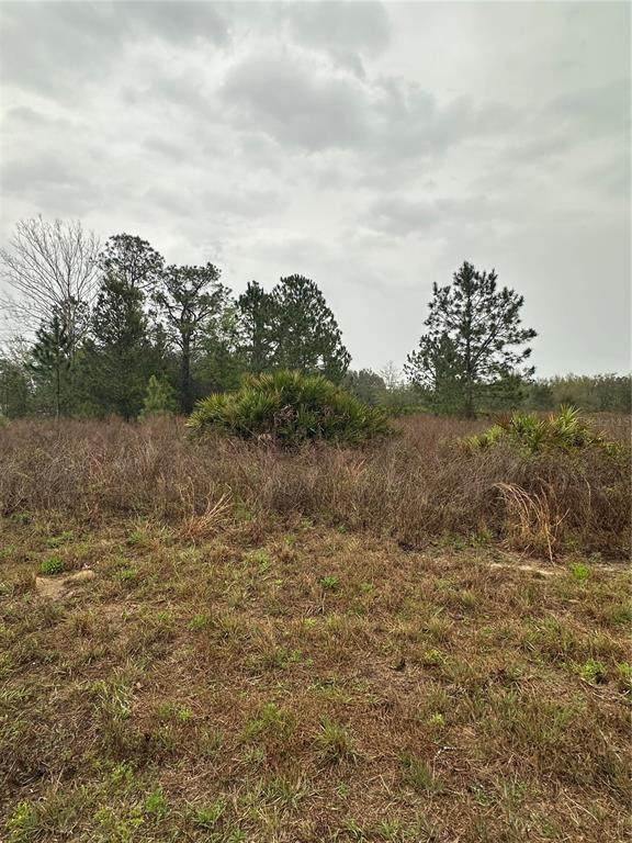 TBD 59 Avenue - Photo 1
